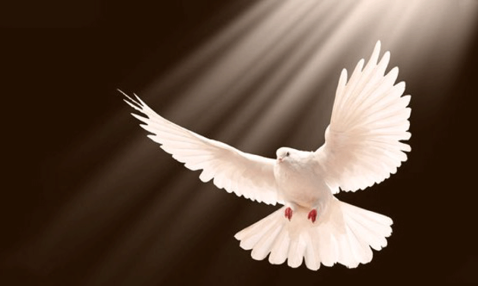 Vol 2.3: Come, Holy&nbsp;Spirit